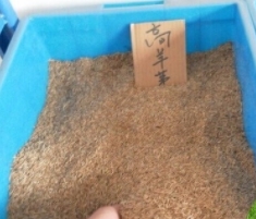 介紹煙臺糊料是如何防止花紋滲化的